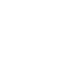 Stephen Scaccia